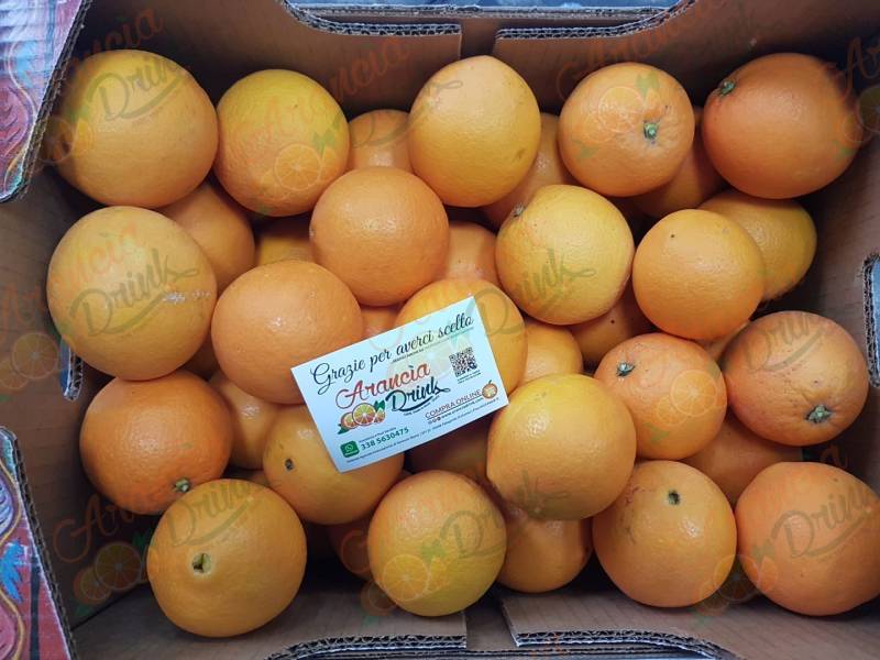 Arance Navel da TAVOLA
