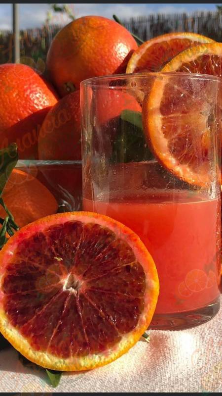 Arance Tarocco Gallo da Spremuta (Solo Estero) FRANCIA GERMANIA OLANDA BELGIO