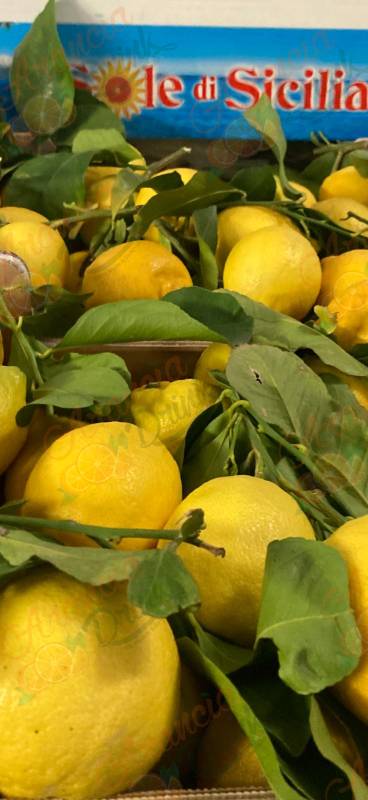 LIMONI NATURALI SICILIANI