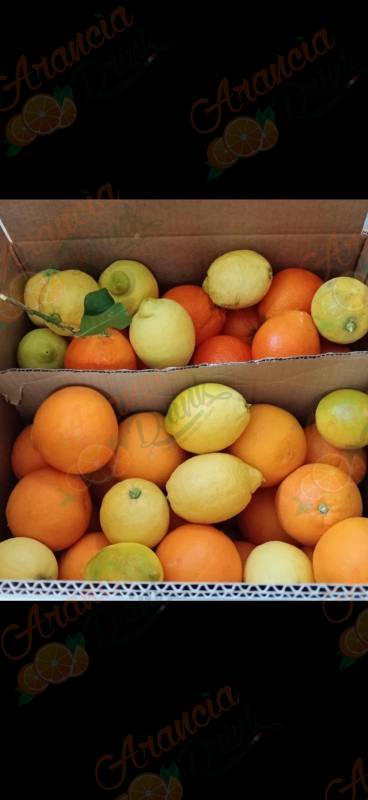 Pacco Misto Arance Tarocco Gallo da Tavola e Spremuta e Limoni