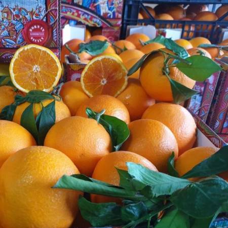 whatsapp_image_2026-01-06_at_18.02.10.jpeg AranciaDrink