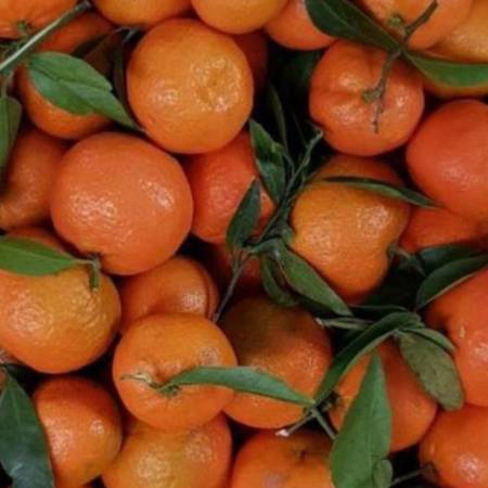 whatsapp_image_2026-01-06_at_18.13.47.jpeg AranciaDrink