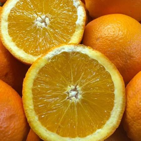 whatsapp_image_2026-01-06_at_18.48.26.jpeg AranciaDrink