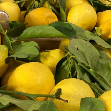 whatsapp_image_2026-01-06_at_19.15.35.jpeg AranciaDrink