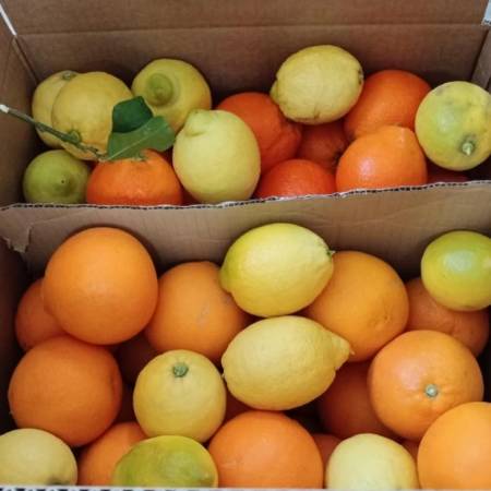 whatsapp_image_2026-01-06_at_19.42.52_1.jpeg AranciaDrink